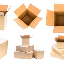Leaves Green Moving Boxes BR2