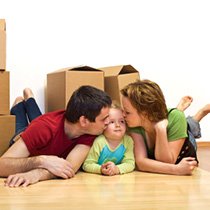 BR2 Removal Firm Leaves Green