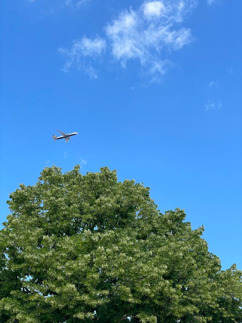 A commercial airplane flying at a high altitude over a clear blue sky with a few wispy white clouds, positioned above a large, lush green tree with dense foliage. The scene captures a moment of aircraft navigation during a house relocation or moving process, with the tree providing a natural foreground. The sky's bright, cloudless appearance enhances the visibility of the aircraft. This visual is associated with the logistical aspects of home removals, such as transportation and planning for access during moves, as offered by Man with Van Leaves Green. The image emphasizes the importance of clear flight paths and outdoor space considerations when scheduling removals near busy airports, supporting the topic of relocation tips for Leaves Green related to Biggin Hill Airport. The composition illustrates an outdoor environment typical of residential areas involved in furniture transport and packing and moving services.