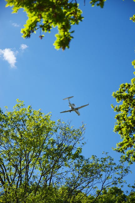 A grey commercial airplane flying overhead in a clear sky viewed from beneath tall trees with brown and green foliage. The trees frame the sky and aircraft, suggesting an outdoor setting near a residential or urban area. The image captures the movement of the aircraft against a daytime backdrop, with the branches extending towards the center of the image. This scene relates to home relocation activities involving logistics and transportation, as seen in services like Man with Van Leaves Green, who specialise in removals and furniture transport. The aircraft's position above the trees highlights the connection between local moving services and nearby transportation hubs such as Biggin Hill Airport, with the overall composition emphasizing the process of packing, loading, and coordinating moving operations in an outdoor environment.