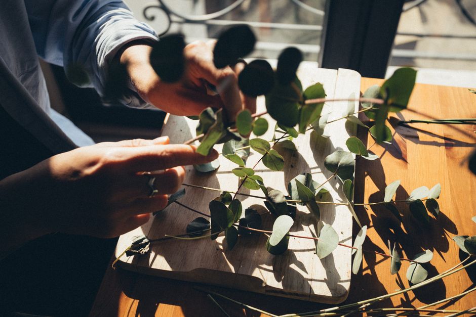 Close-up of a person's hands carefully handling a small branch with green eucalyptus leaves, which is placed on a wooden cutting board on a home kitchen table. The person is wearing a grey sleeve, and sunlight from a nearby window casts natural light and shadows onto the leaves, cutting board, and table surface. In the background, part of a glass door or window with a metal frame is visible, revealing an outdoor patio or garden area. The scene suggests preparation for packing or relocation activities, with attention to detail in handling delicate plant materials as part of household efforts during a home removal or moving process, supported by a professional service such as Man with Van Leaves Green, which specialises in furniture transport and house removals.