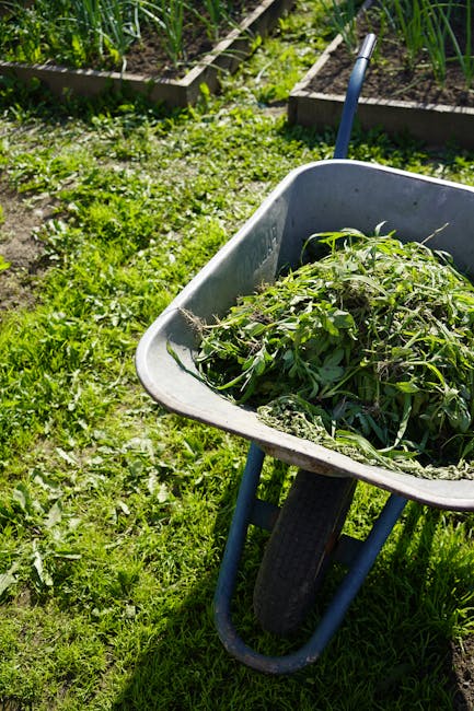 Close-up of a person's hands carefully handling a small branch with green eucalyptus leaves, which is placed on a wooden cutting board on a home kitchen table. The person is wearing a grey sleeve, and sunlight from a nearby window casts natural light and shadows onto the leaves, cutting board, and table surface. In the background, part of a glass door or window with a metal frame is visible, revealing an outdoor patio or garden area. The scene suggests preparation for packing or relocation activities, with attention to detail in handling delicate plant materials as part of household efforts during a home removal or moving process, supported by a professional service such as Man with Van Leaves Green, which specialises in furniture transport and house removals.