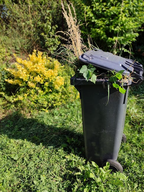 A black wheeled waste bin filled with garden debris, including dry grasses and green leaves, located outdoors on a grassy area. The bin is positioned near a garden hedge with yellow flowering shrubbery in the background, suggesting recent garden clearance or preparation for a house move. The scene is illuminated by natural daylight, with the bin likely used during packing and clean-up phases of a home relocation carried out by Man with Van Leaves Green. The image captures the process of disposing of bulky garden waste as part of a house removals or property clearance service, emphasizing the importance of proper waste management in the context of moving logistics.