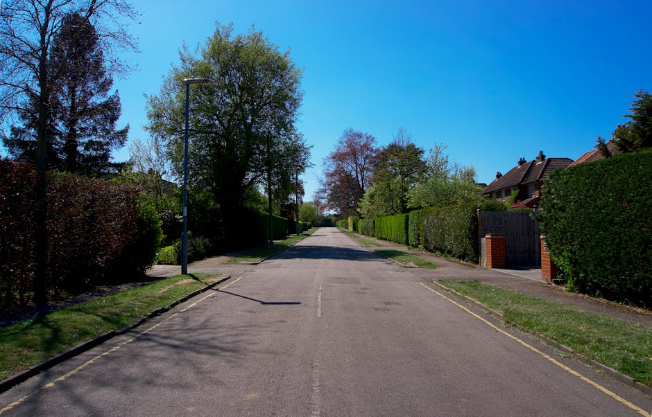 A straight, narrow country lane with a smooth, grey tarmac surface is flanked on both sides by dense, lush green trees and shrubs. The trees form an archway overhead, with branches and leaves intertwi