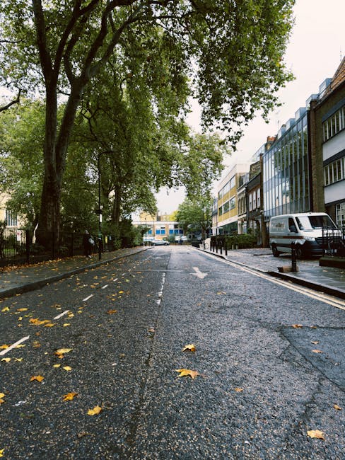 Image of a narrow residential street with a wet tarmac surface scattered with yellow fallen leaves, flanked by multi-storey office or apartment buildings with large windows on the right side. On the left side, there is a row of mature trees with green foliage, providing some shade. Parked vehicles, including a white van, are visible along the curb on the right. Black metal railings line the pavement on both sides, and a few bollards are positioned to separate the roadway from pedestrian areas. The scene appears during daylight with overcast weather, and the street is currently empty of moving vehicles or pedestrians. This setting illustrates typical urban residential or commercial areas where home relocation or furniture transport services by Man with Van Leaves Green could be required, especially in spaces with narrow streets or limited access for large vehicles.